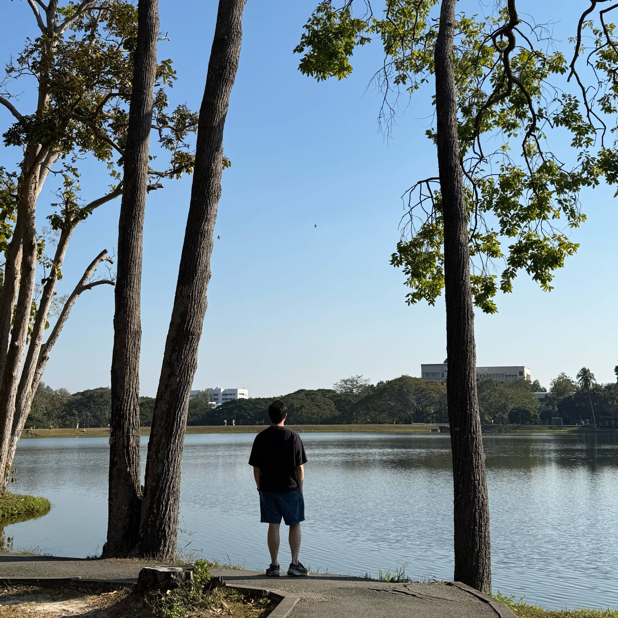 Travel and working remotely